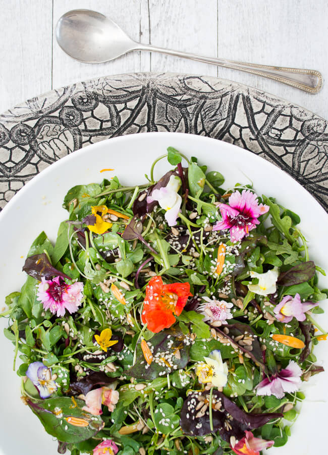 Well Nourished⎮Simple Green Salad, orange balsamic vinaigrette